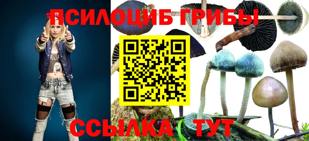 Новотроицк  Галлюциногенные грибы мицелий  Вход с VPN 
